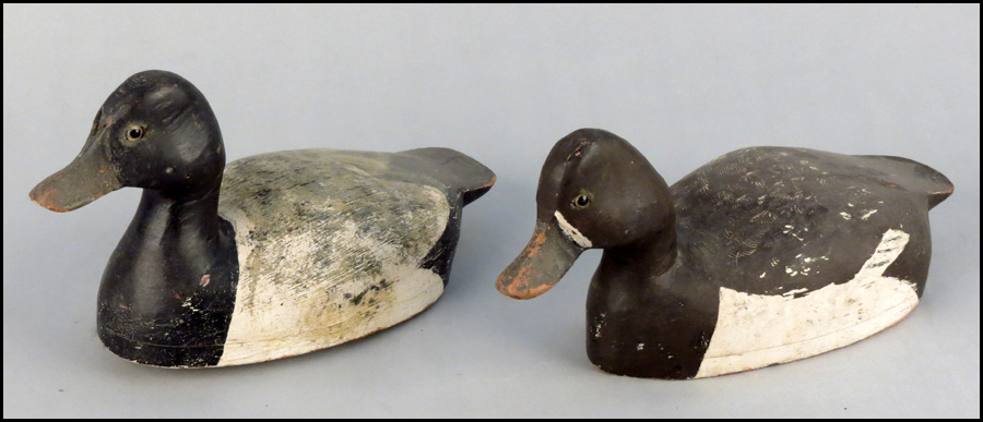 PAIR OF PETER STORM DECOYS Blue 17773f
