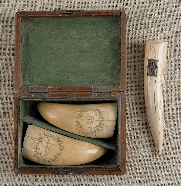 Pair of cased scrimshaw whale teeth