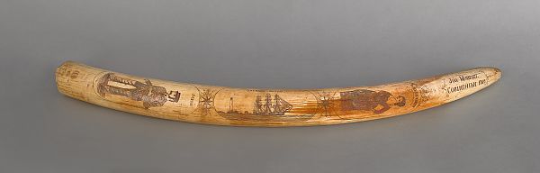 Large scrimshaw tusk 20th c decorated 17605c