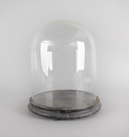 Large glass dome with wooden base