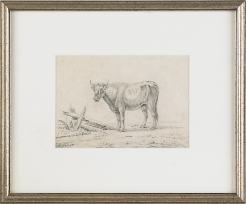 Three Continental etchings of cows