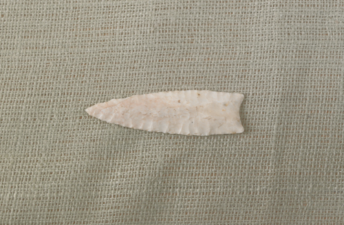 Sloan Dalton Burlington chert labeled 17655c