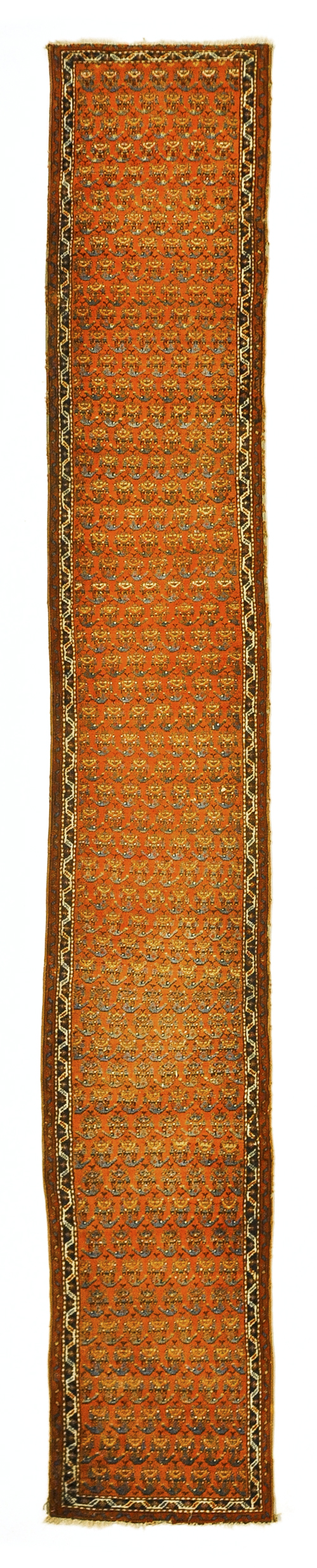 Hamadan runner early 20th c. 14'