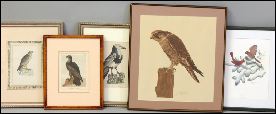 GROUP OF FIVE FRAMED ORNITHOLOGICAL 179b74