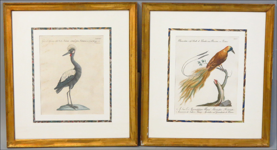 GROUP OF FOUR FRAMED 18TH C BIRD 1784b0