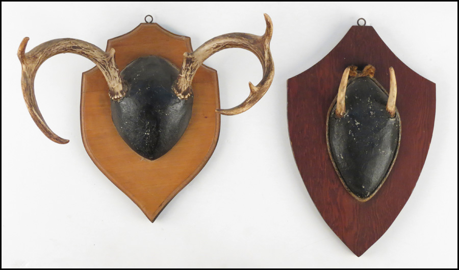 GROUP OF TWO MOUNTED ANTLERS H  178501