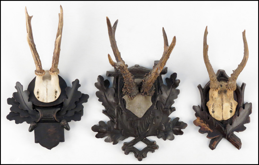 GROUP OF THREE MOUNTED ANTLERS.