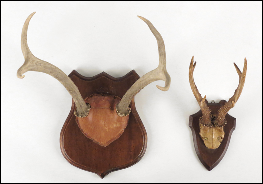 TWO PAIRS OF MOUNTED ANTLERS. Condition:
