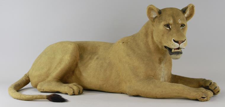 LARGE PAPIER M CH CLOCKWORK LIONESS 17acc3