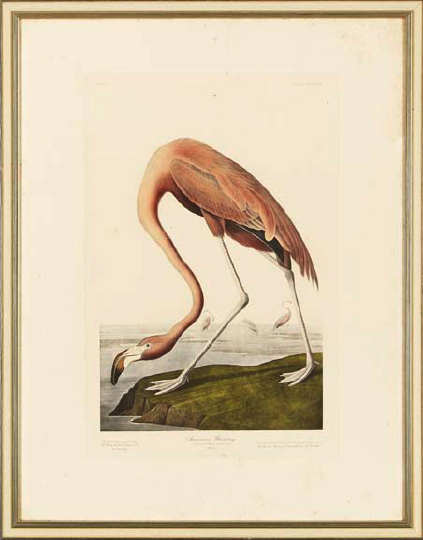 After John James Audubon American  2a167