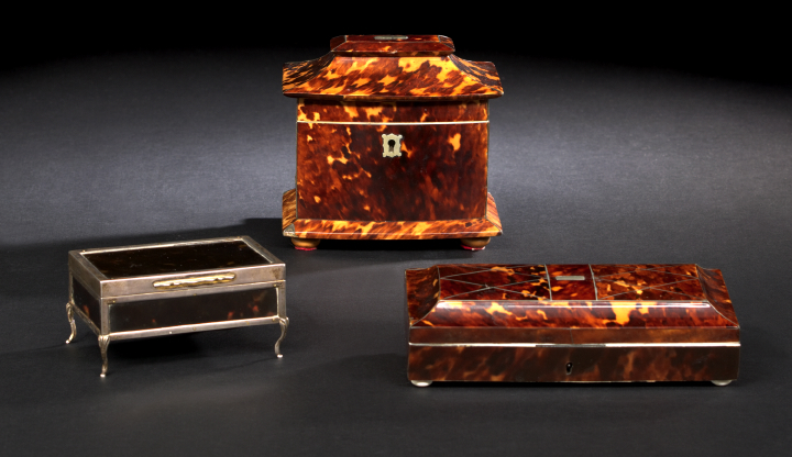 English Tortoiseshell Single Compartment 2a865