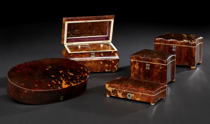 English Tortoiseshell Single Compartment 2a86a