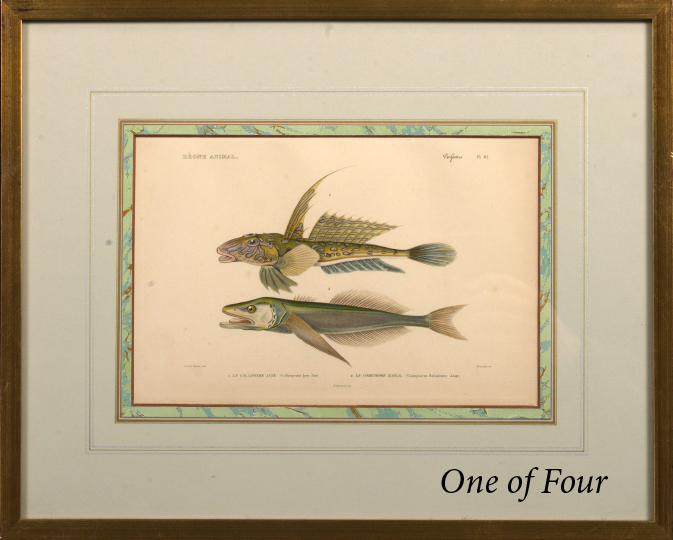 French School (Mid-19th Century)  Fish