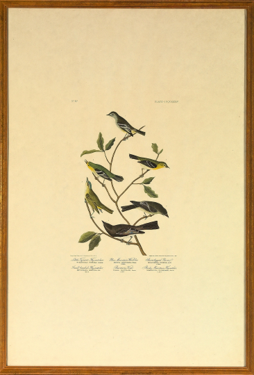 After John James Audubon American  2b330