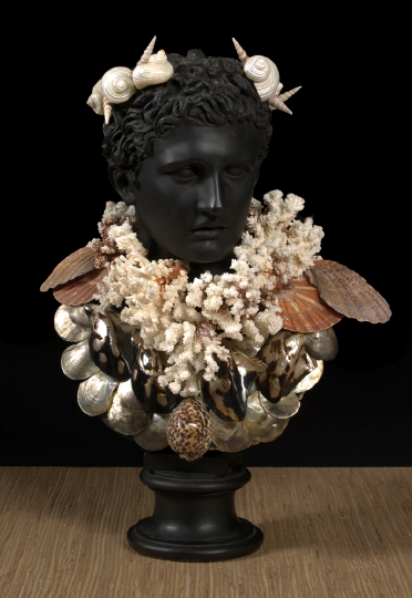 Large Coral- and Seashell-Encrusted