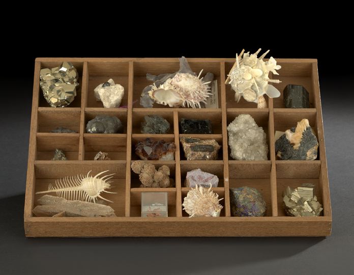 Twenty Three Mineral and Seashell 2c56b