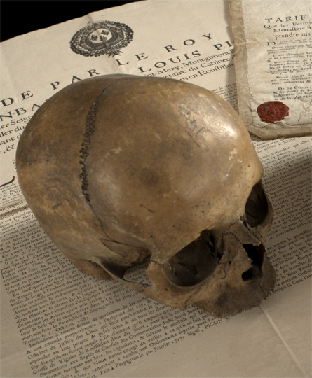 Human Skull of unknown origin  2c373