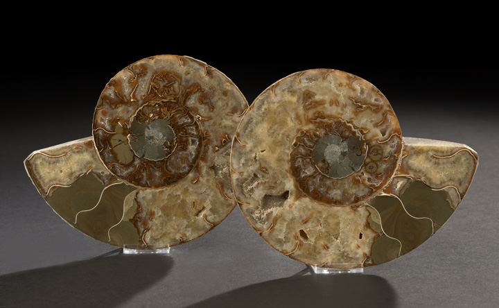 Fine Pair of Split Ammonite Fossil 2c81d