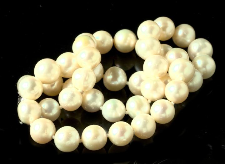 Ladies White Pearl Necklace featuring 2d6b6
