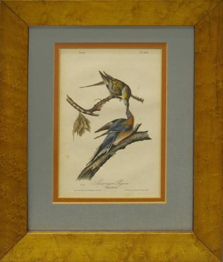 After John James Audubon American  2e50c