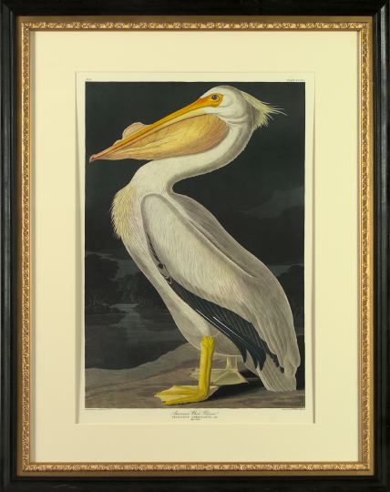 After John James Audubon (American,