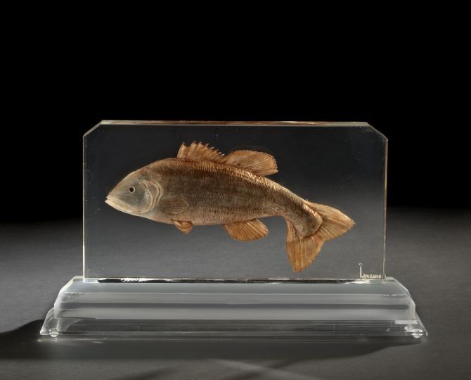 Unusual Carved Lucite Fish Table 2f061