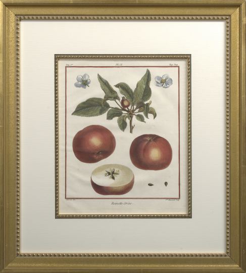 French School (Late 18th Century)  Apples,