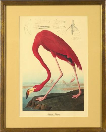 After John James Audubon American  2f235