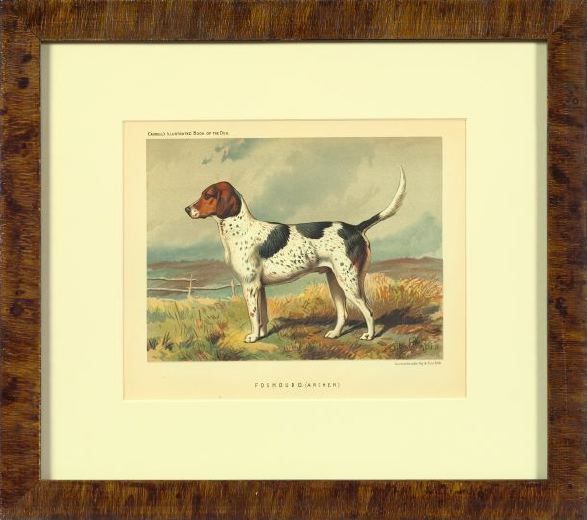 Suite of Four Chromolithographs