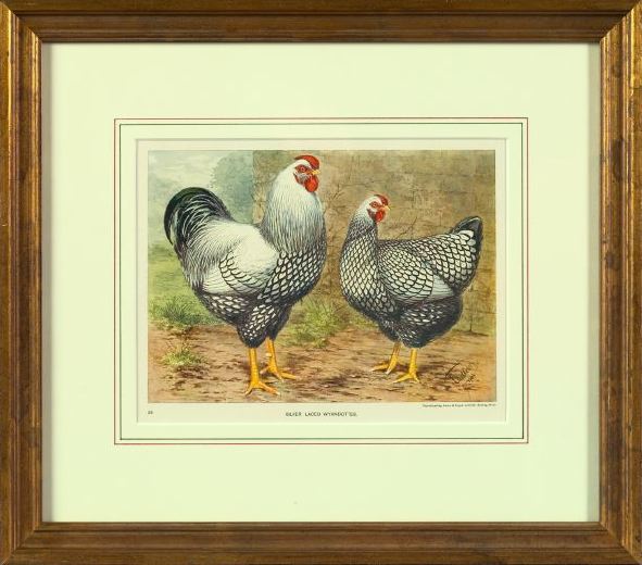 Pair of Offset Chromolithographs