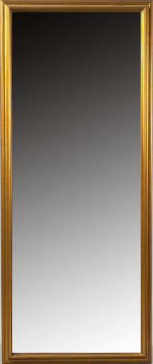 Tall Gilded Wooden Pier Mirror,