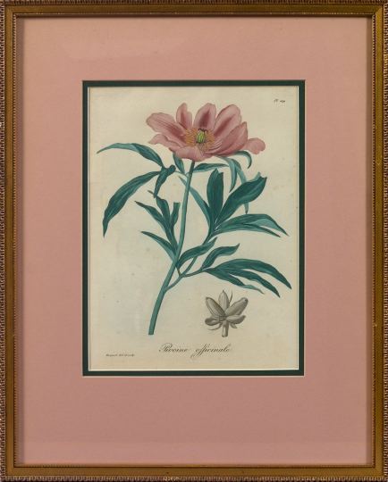 Floral Lithograph and Engraving  2f96b