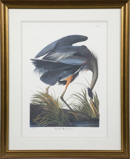 After John James Audubon (American,