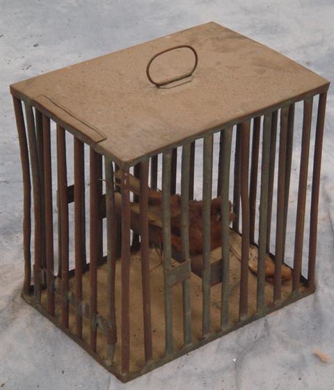 Wood and tin bird cage   Estimate