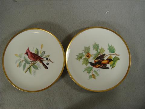 8 Hutschenreuther handpainted Audubon