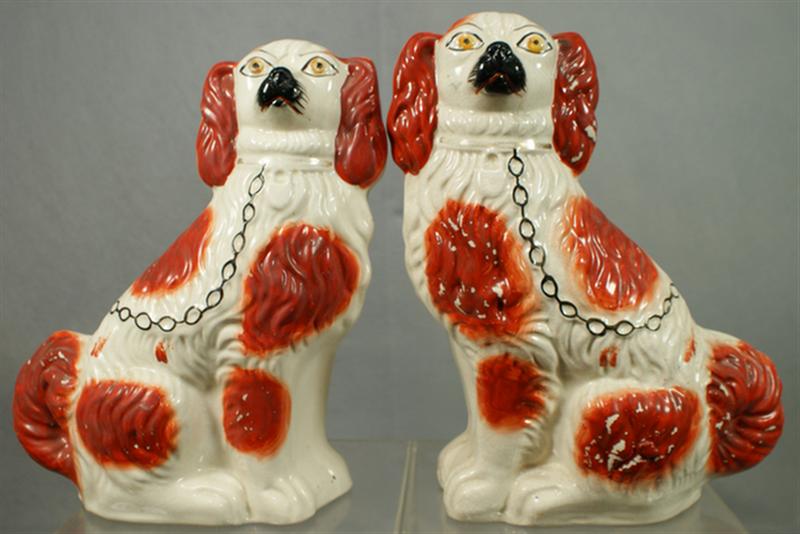 Pr Staffordshire white rust spaniels  3d81d