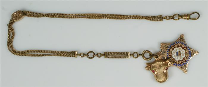 GAR gold filled watch chain with 3e2cd