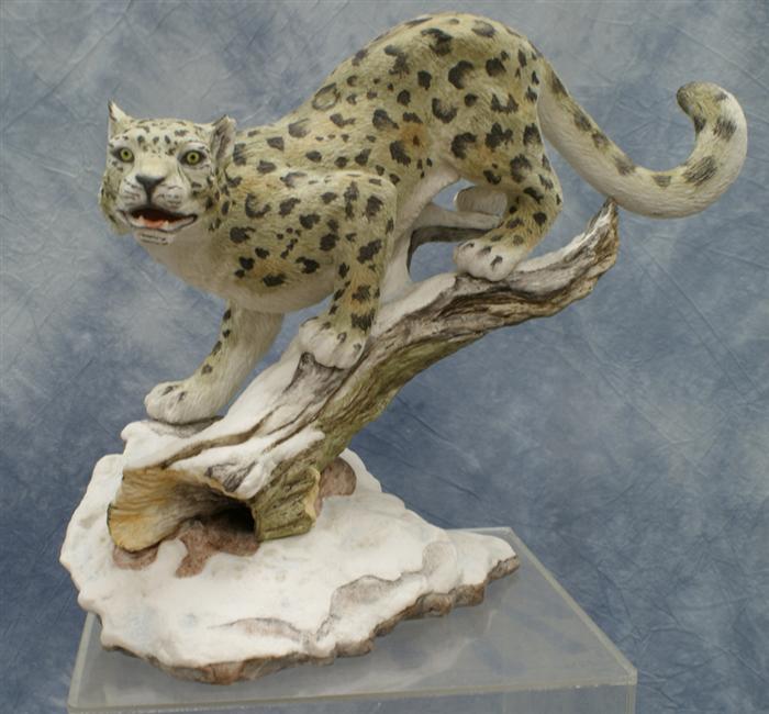 Boehm Snow leopard, chip on ear, 10