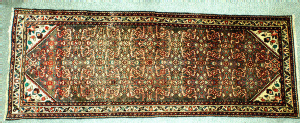 3.6 x 9.7 Hamadan throw rug  Estimate
