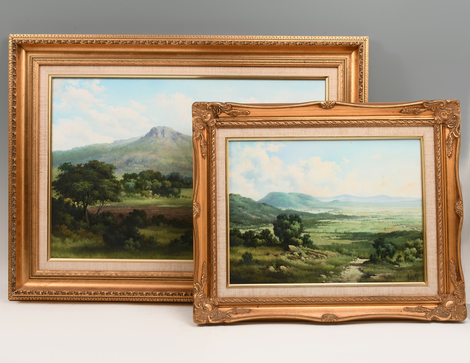 TWO FINE PANORAMIC LANDSCAPES SIGNED 27618b