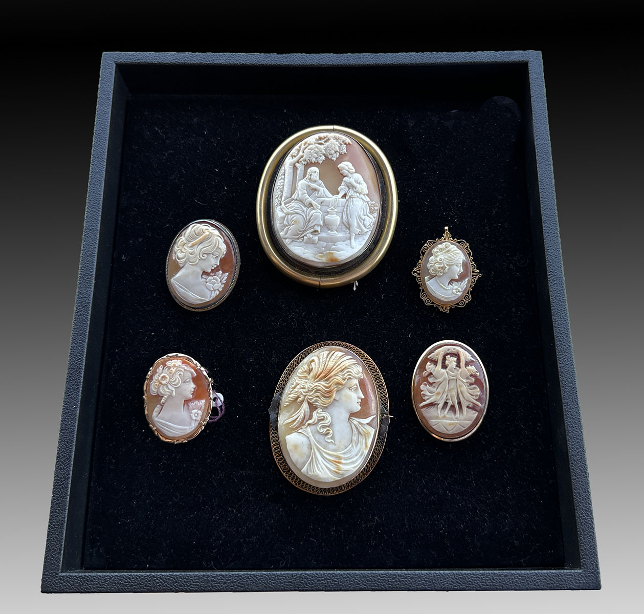 6PC SHELL CARVED CAMEOS Lot contains 27682e