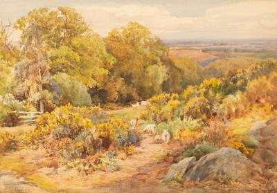 Edward Davies RI (1841-1920)/Sheep