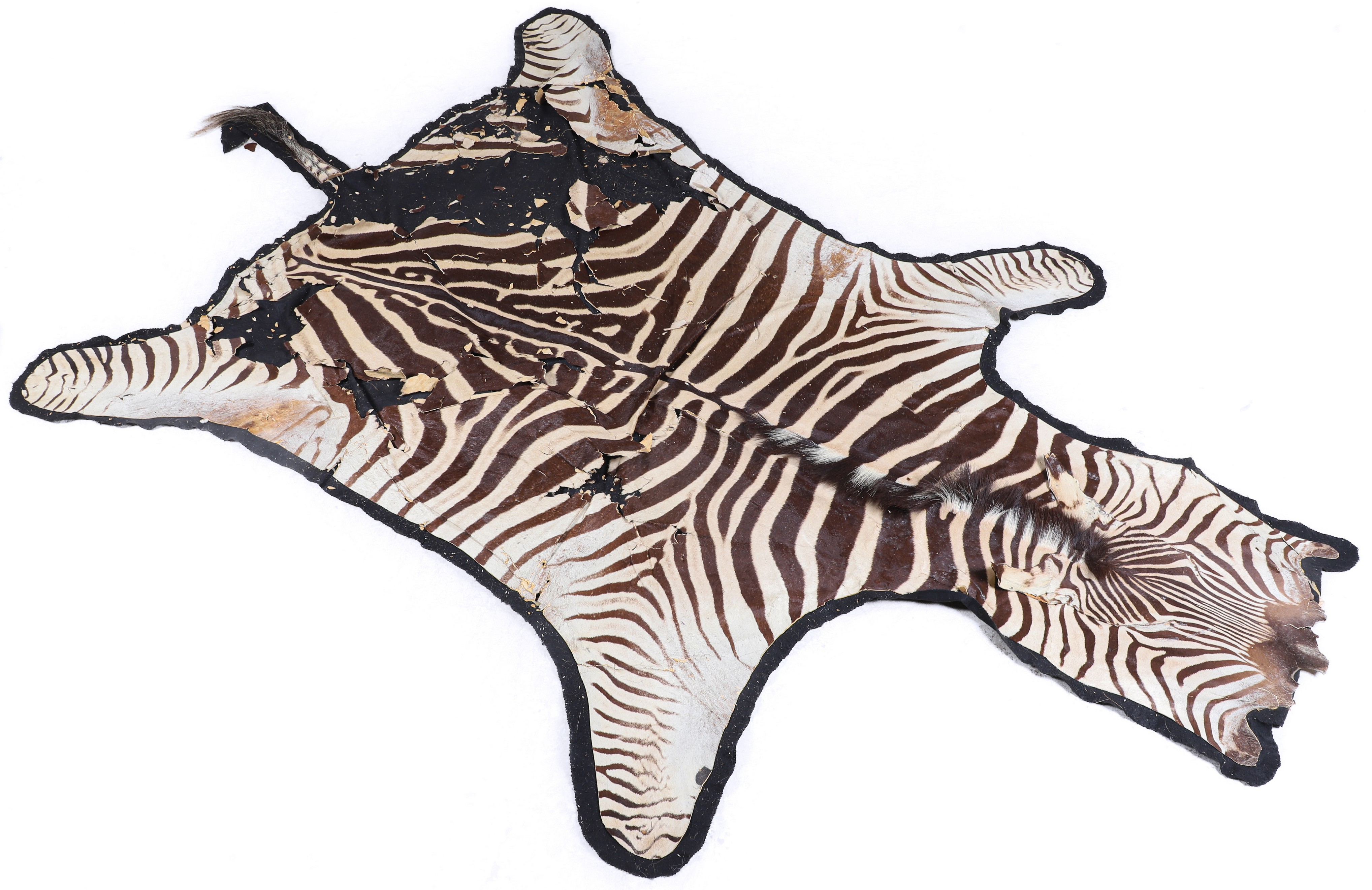 African Zebra Skin Rug felted 27a4a2