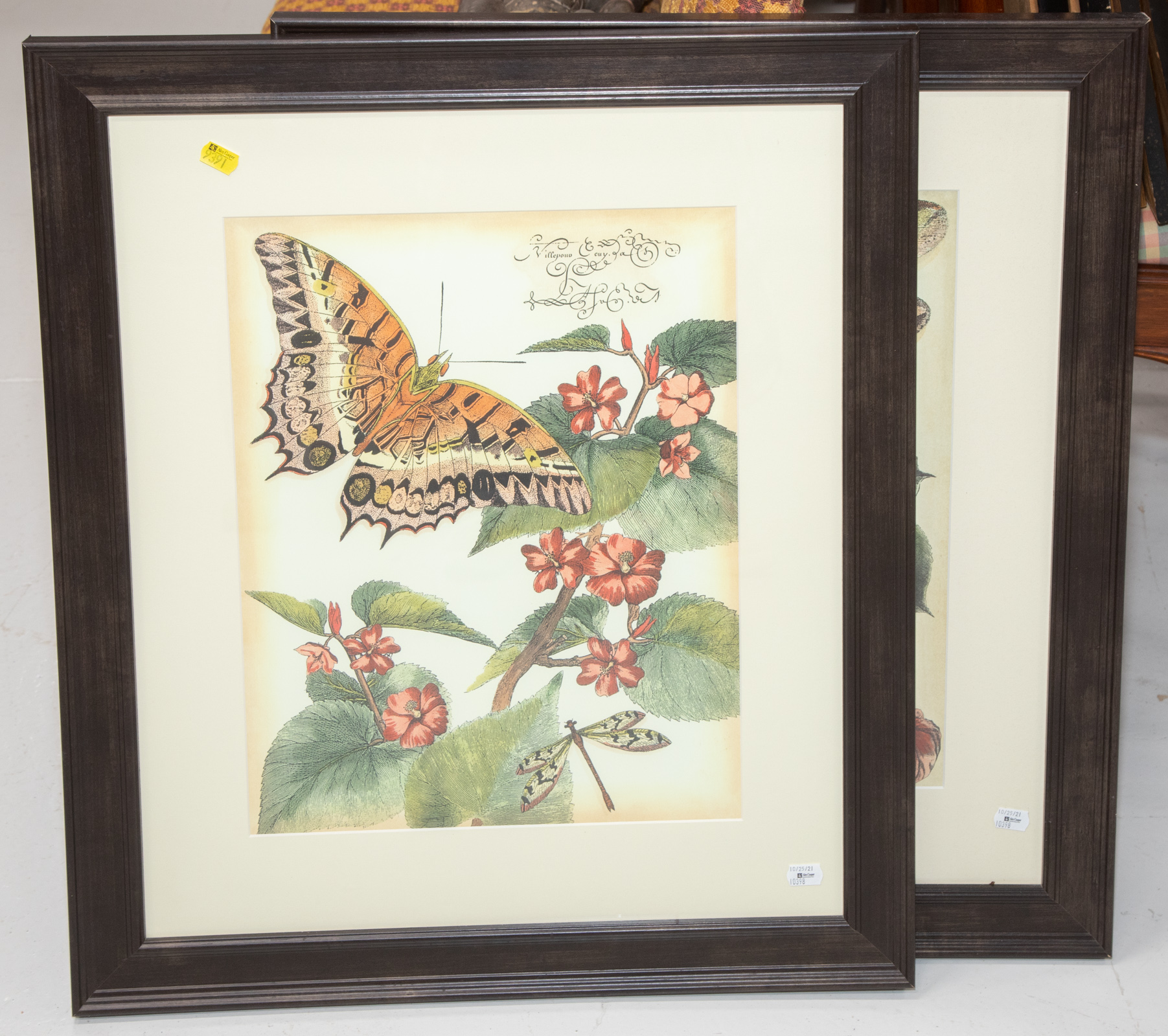 A PAIR OF FRAMED NATURE PRINTS .