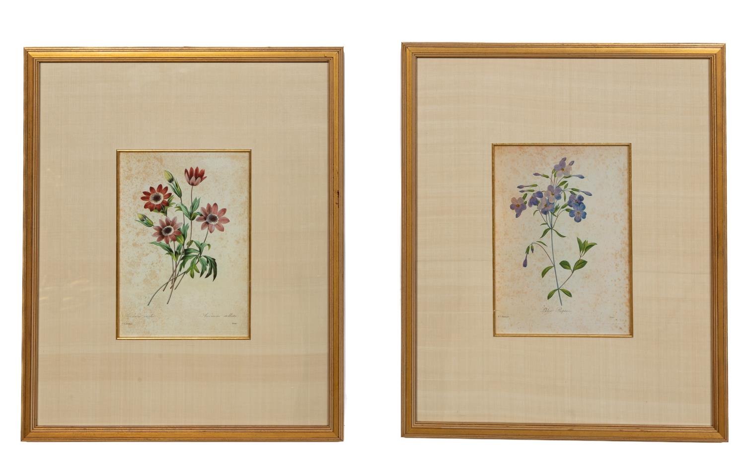 TWO AFTER P J REDOUTE FLORAL BOTANICAL 28886e