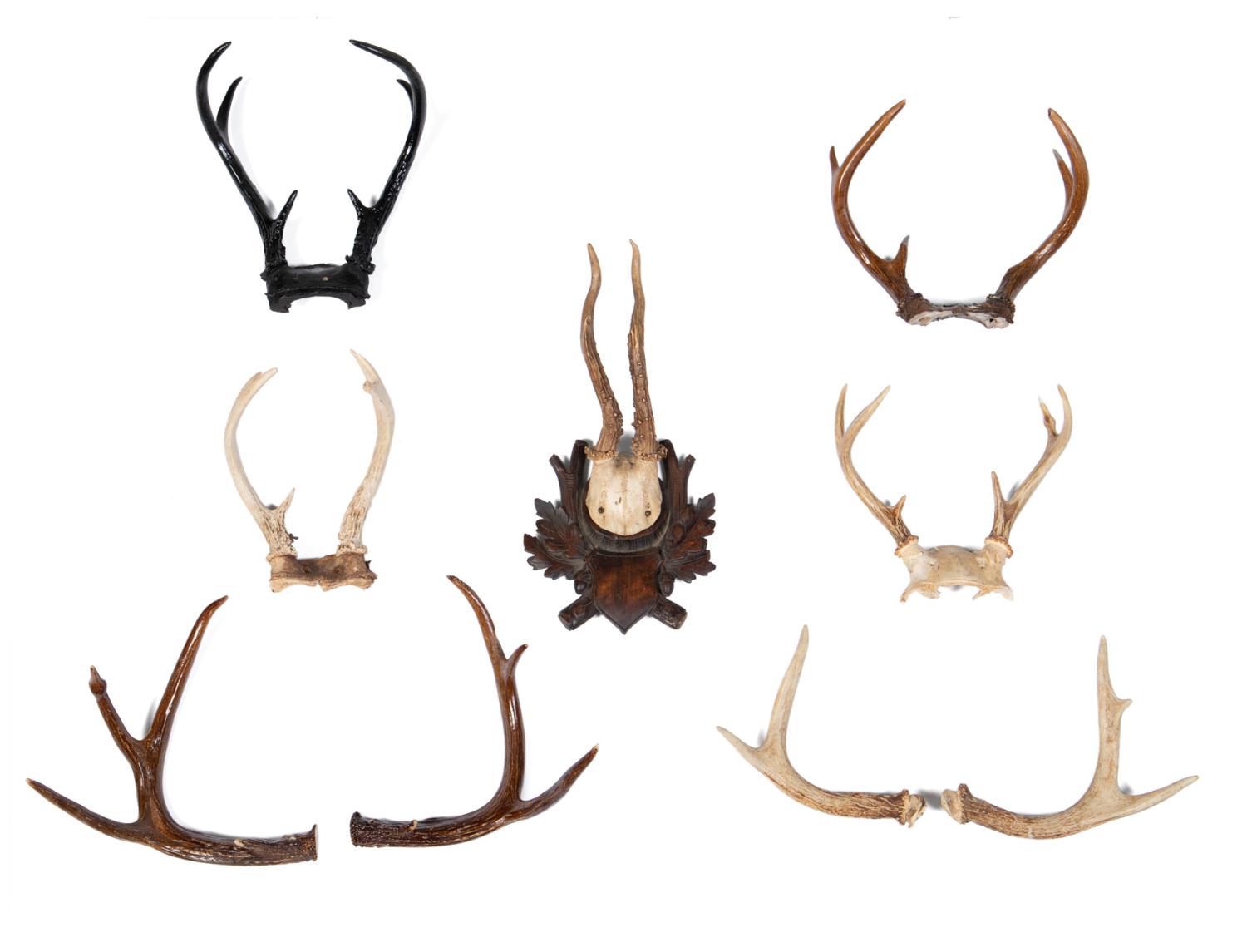 9PC SELECTION OF WALL MOUNTED ANTLER 288a6a