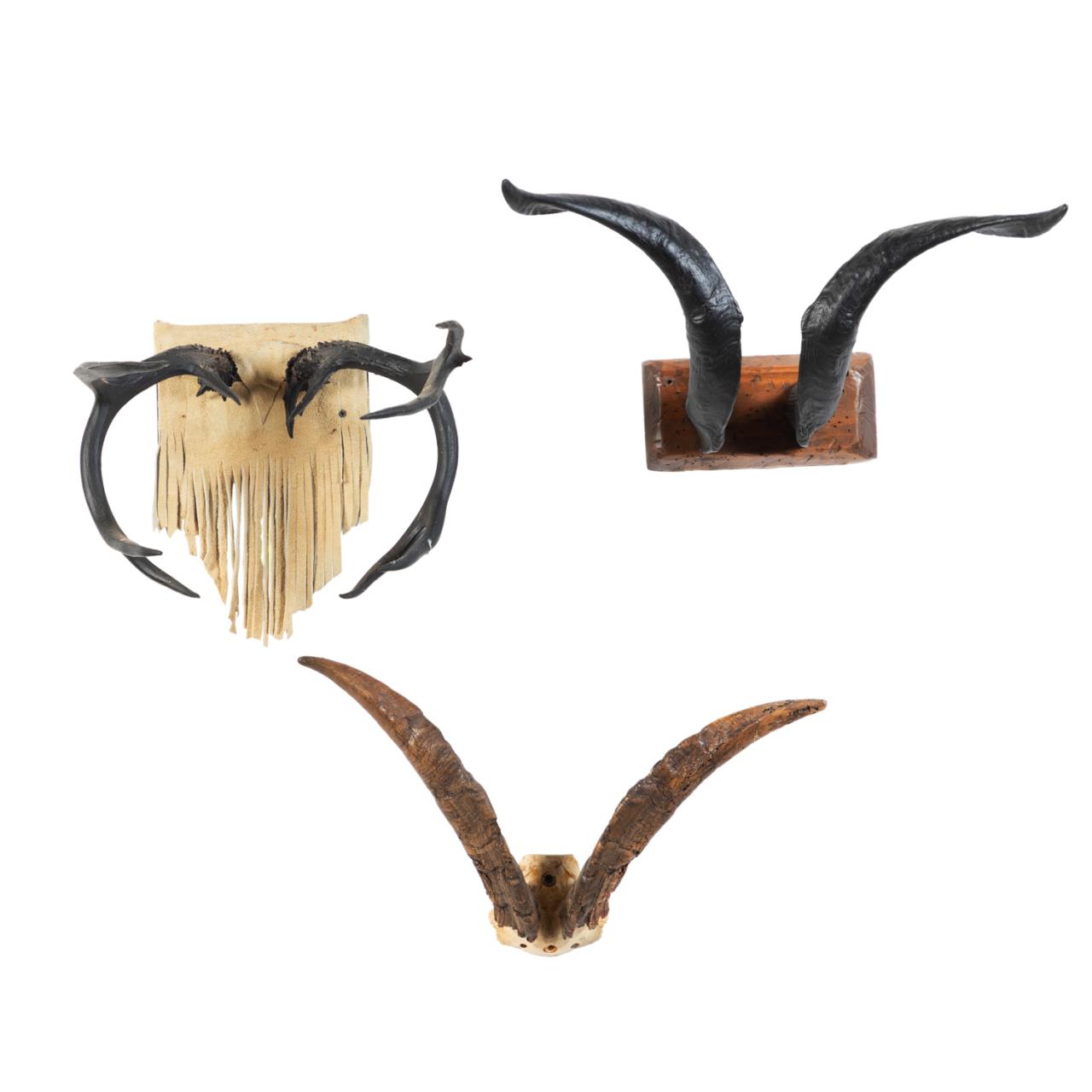 THREE MOUNTED ANIMAL HORN AND ANTLER