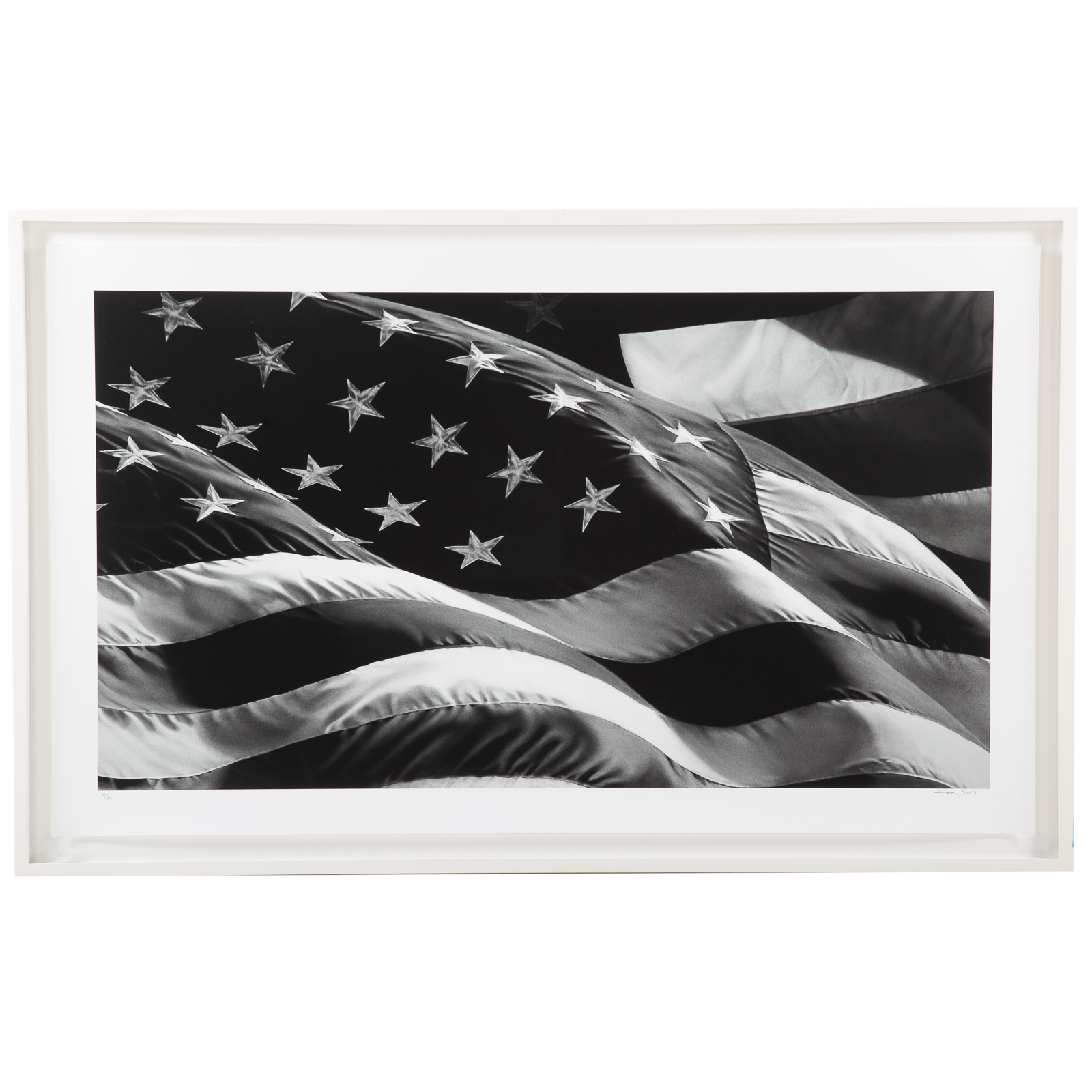 ROBERT LONGO AMERICAN FLAG  28775d