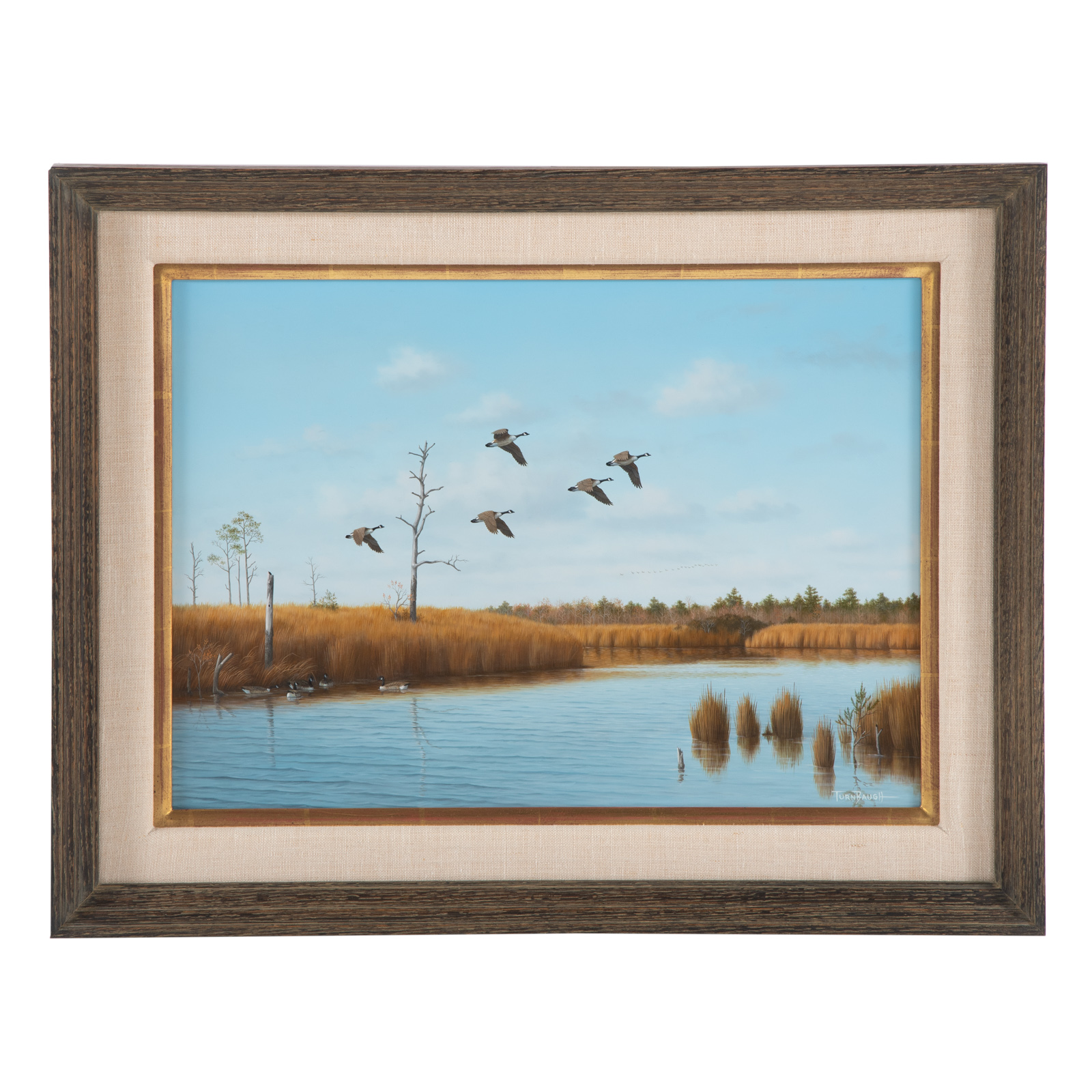 DAVID T TURNBAUGH GEESE FLYING 28781b