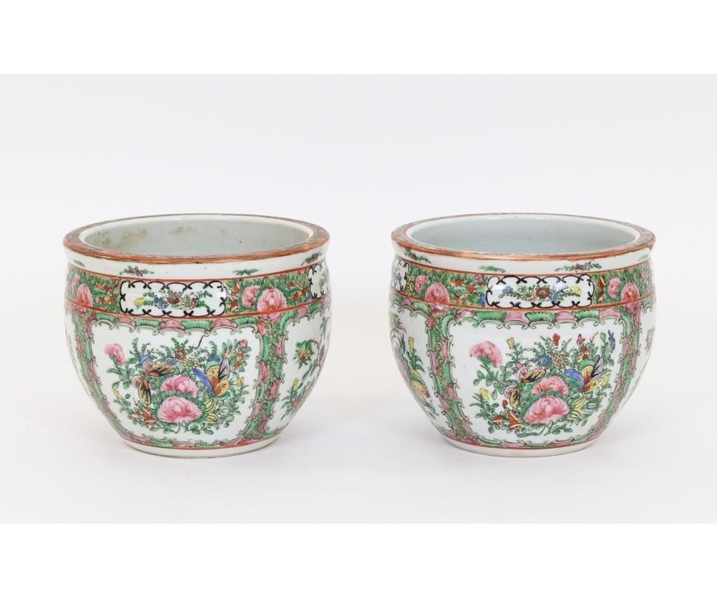 Pair of Chinese Rose Canton export 28a8a5